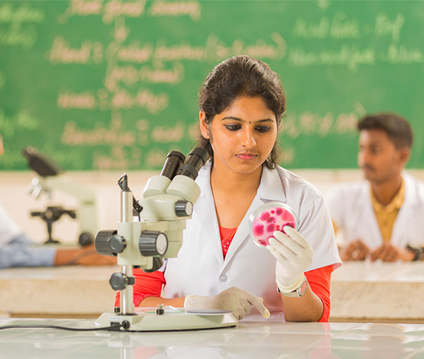 B.Sc Biotechnology